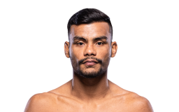 Raulian Paiva